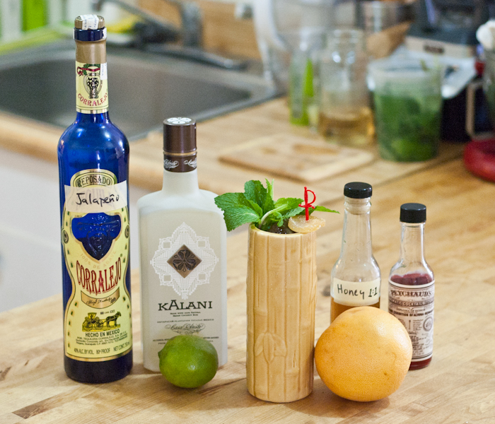 Tequila & Tiki: the Jalajaja Swizzle | Home Bar Girl